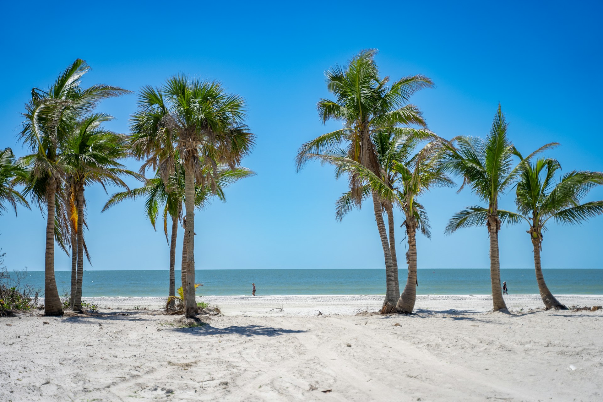 A beach view in Naples, FL